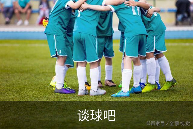 谈球吧公司简介展示图